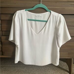 Aritzia Babaton Blouse (used like new)